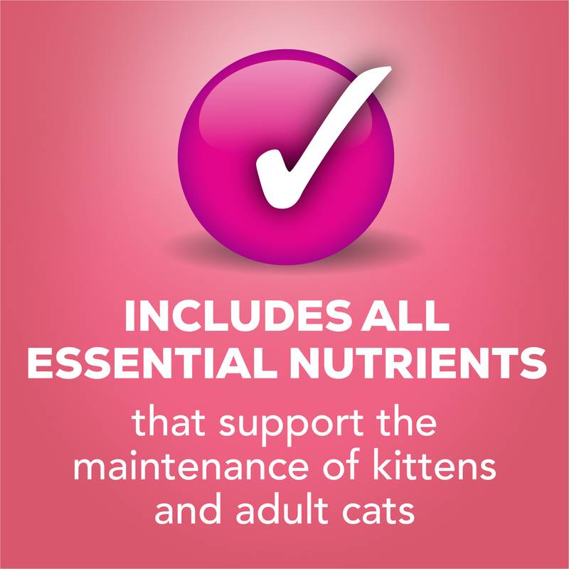 Friskies Salmon Dinner Pate Cat 2 5.5 oz