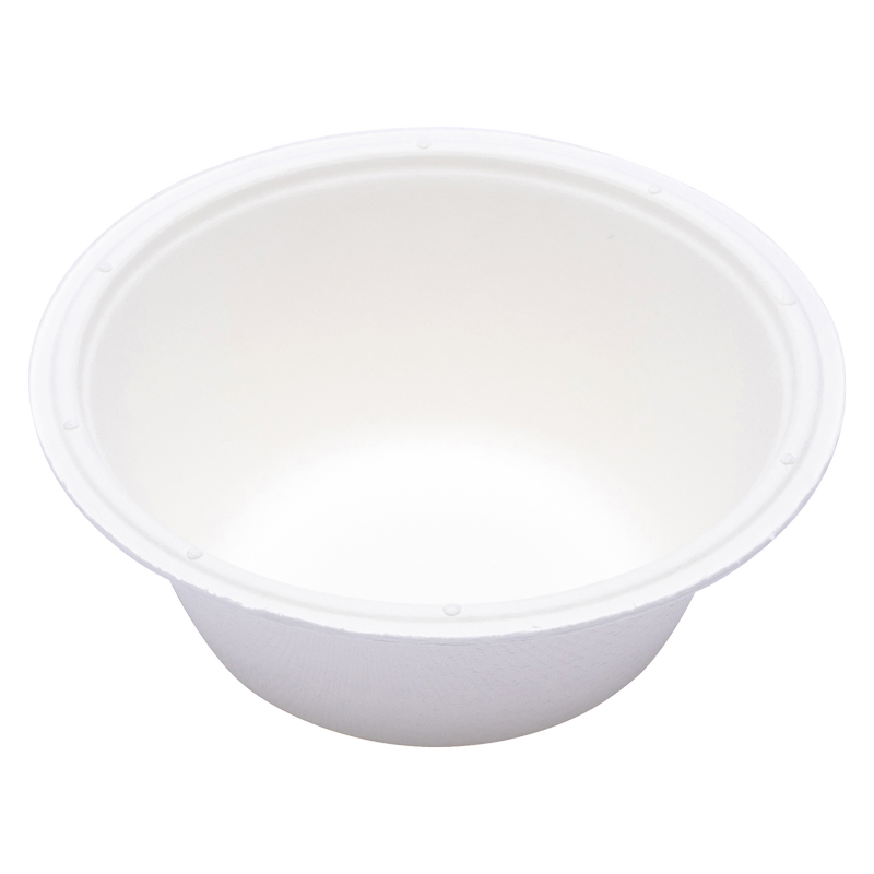 Repurpose Compostable 9" Everyday Plates, 20 ct
