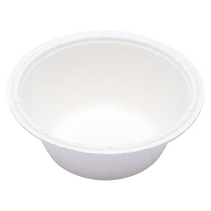 Repurpose Compostable 9" Everyday Plates, 20 ct