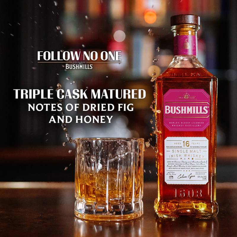 Bushmills 16 Year Irish Whiskey 750ml (80 Proof) – BevMo! Washington