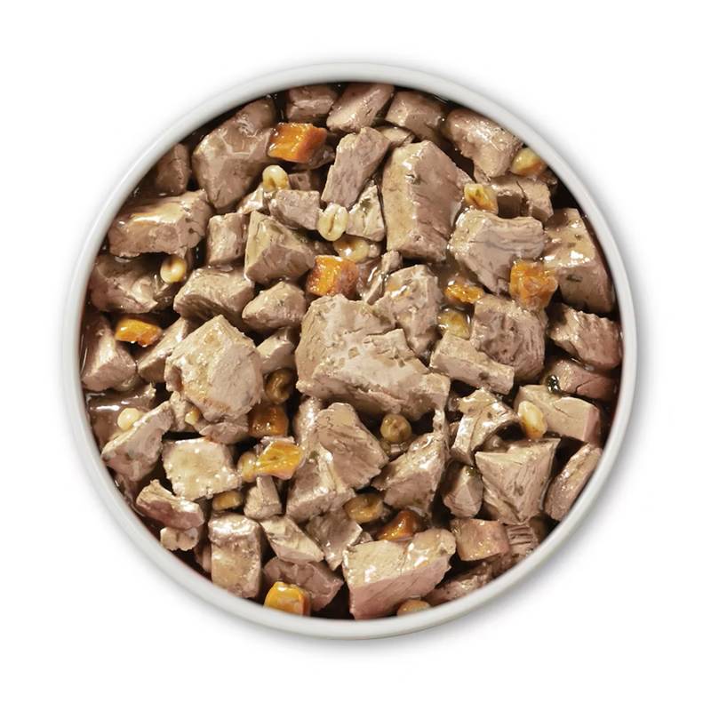 Purina ONE Smart Blend with Real Beef & Barley Wet Dog Food, 13oz.