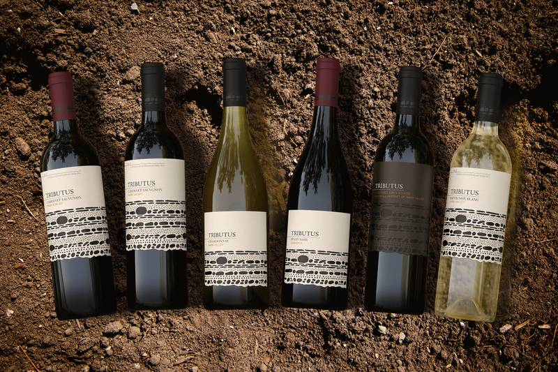 Tributus Paso Robles Cabernet Sauvignon 750ml – BevMo! Washington