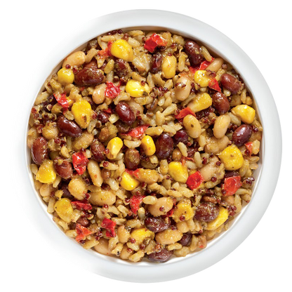 Tasty Bite Mexican Protein Bowl 8.8oz