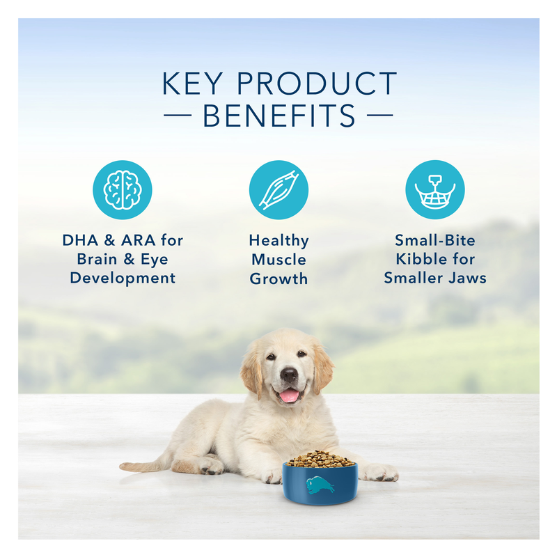 Blue Buffalo Puppy Chicken and Brown Rice Dry Dog Food 5lb
