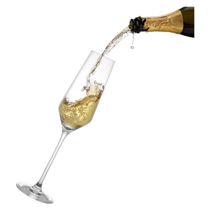 Layla Crystal Champagne Glasses 6.7oz 4pk